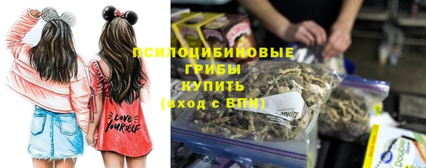 spice Алексеевка