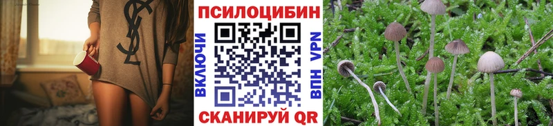 Галлюциногенные грибы Psilocybe  Купить  Белгород 